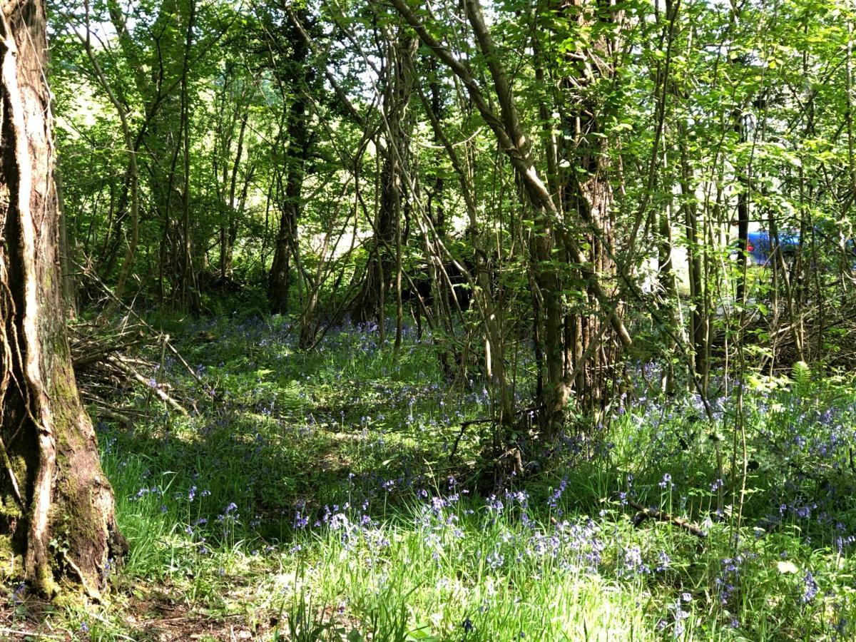 赫里福德Coed Y Marchog Woodland Retreat别墅 外观 照片