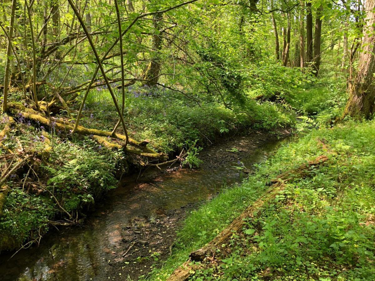 赫里福德Coed Y Marchog Woodland Retreat别墅 外观 照片