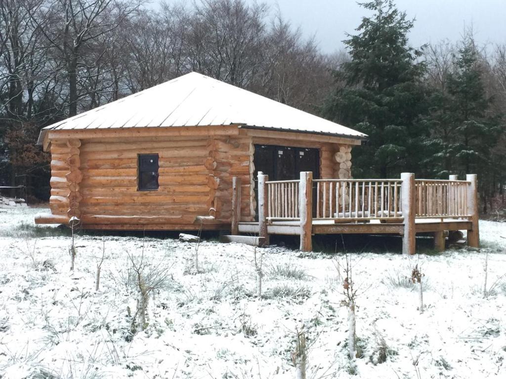 赫里福德Coed Y Marchog Woodland Retreat别墅 外观 照片
